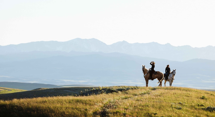 Câu chuyện của chúng tôi